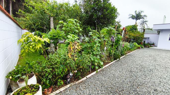 Jardim e pomar ao lado do pátio - casa à venda em Águas Mornas/SC
