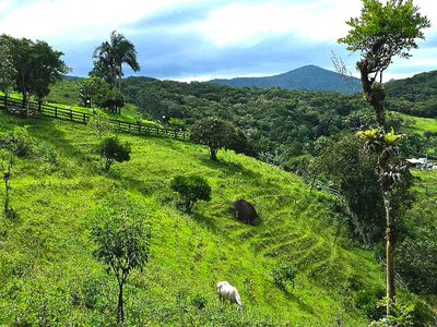 Pastagem e vista para montanhas