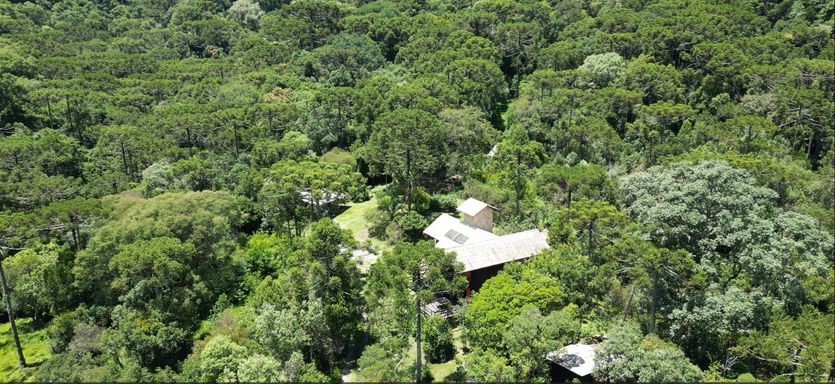 NATUREZA LINDA A CASA FOTO DE CIMA