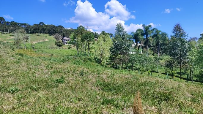 TERRNO E LINDA VISTA