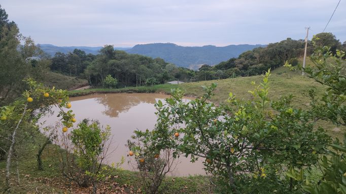 Pomar,  açude  e linda vista
