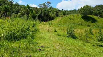 Área plana com pastagem e colina ao fundo