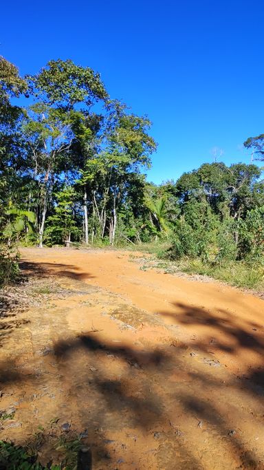 CHAO DE CASA E NATUREZA