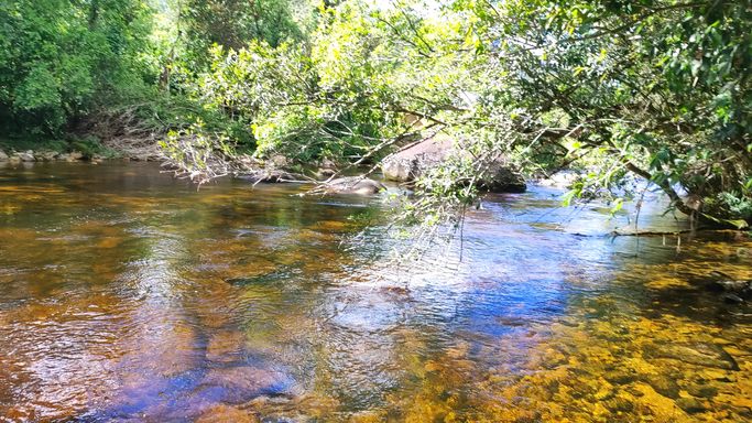 AGUA CRITALINA E PEDRAS LINDAS
