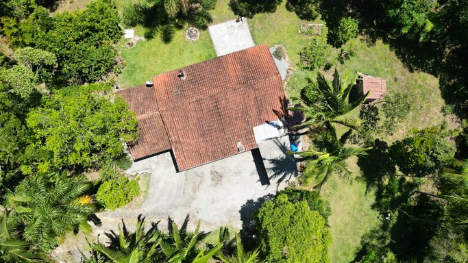 CASA E LINDAS PALMEIRAS