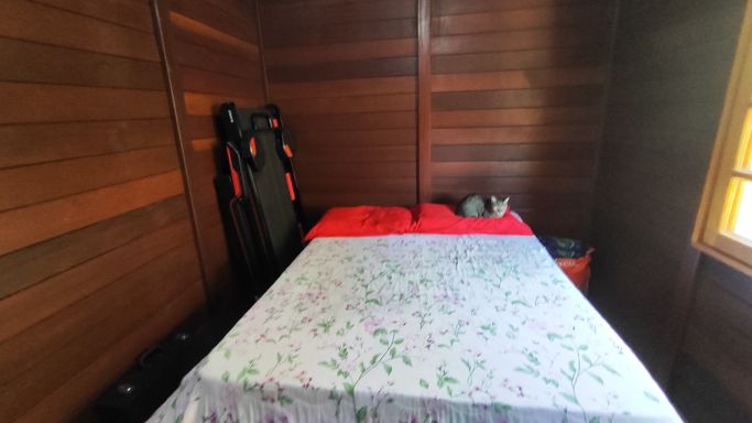 CAMA E GATO SEGUNDO QUARTO