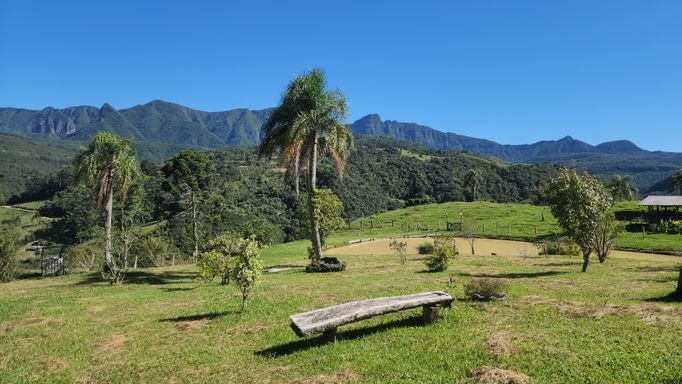 BANCO DE MADEIRA E LINDO COQUEIRO