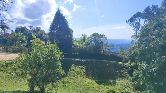 GRAMADO E BOSQUE