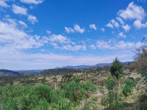 Linda vista