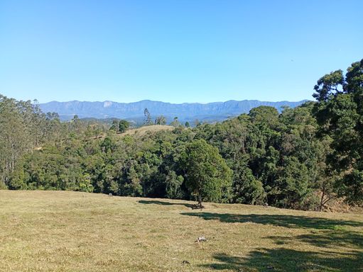 PASTO E NATUREZA
