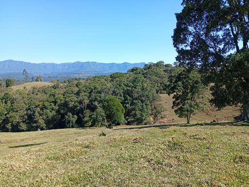 PASTO E BOSQUE