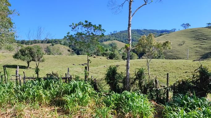 NATUREZA E PASTAGEM