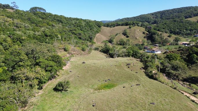 UM POUCO DA VISTA DA PASTAGEM E DA NATUREZA