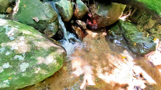 RIACHO DENTRO DA CHÁCARA