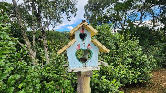 CASA DO PSSARINHO E BOSQUES