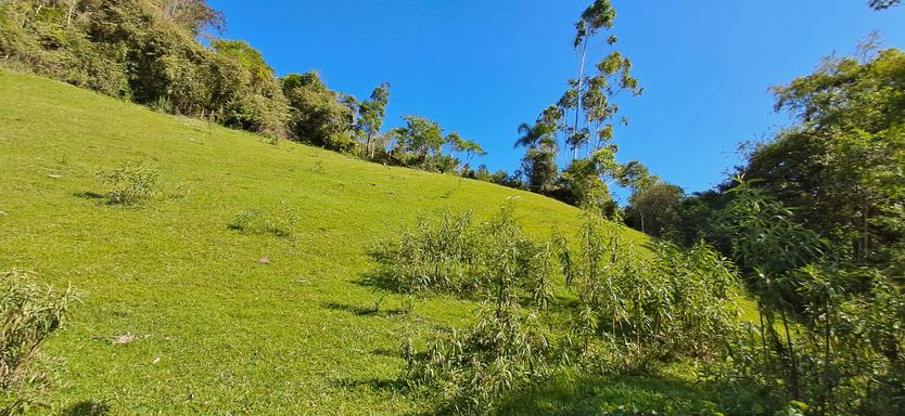Colina com pastagem e céu azul