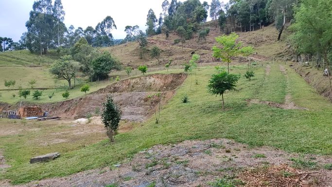 POMAR E NATUREZA