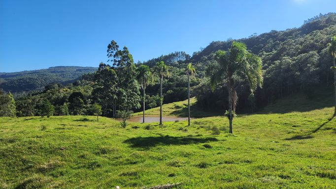 PASTAGEM E COQUEIROS