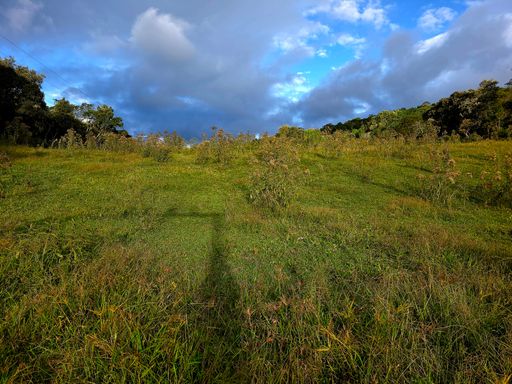 Area totalmente plana