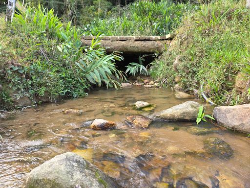 Riacjo dentro da propriedade