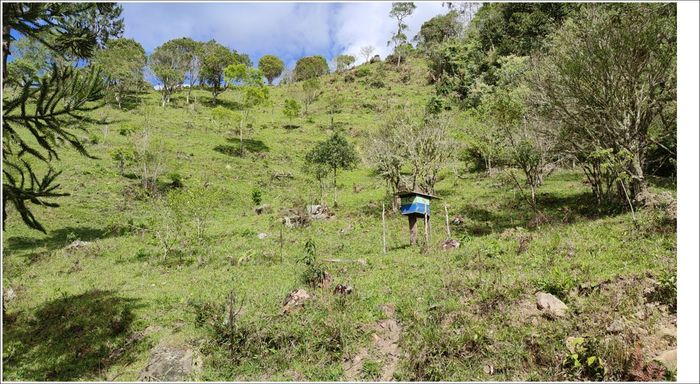 paisagem pedras e natureza