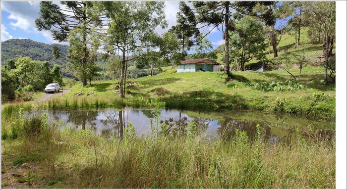 sitio com  lagoa araucarias e casa de madeira