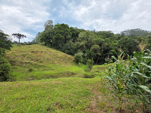 Colina com pasto
