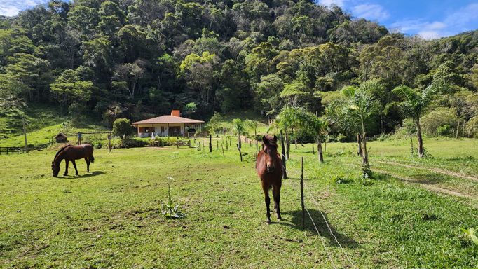 CAVALO E CASA
