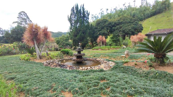 jardim e bosque