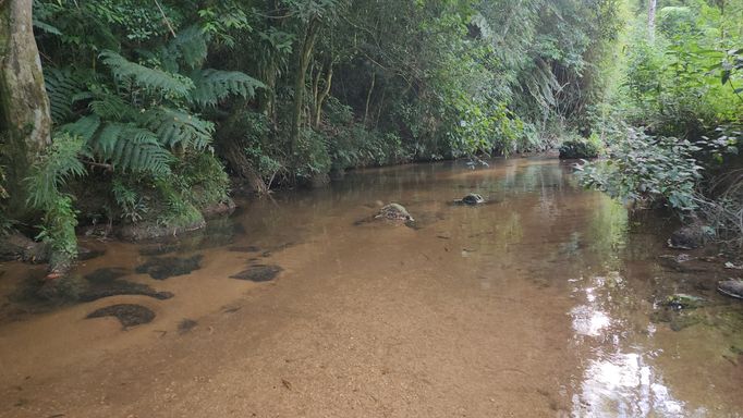 RIO COM AGUAS CRISTALINAS