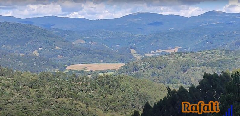 VISTA