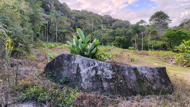 Pedra do sitio do terreno