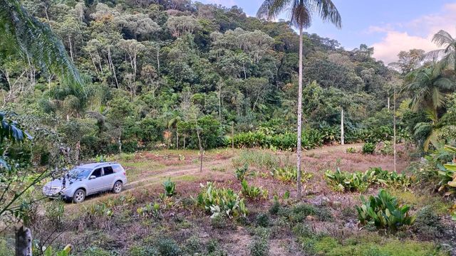 sitio e natureza