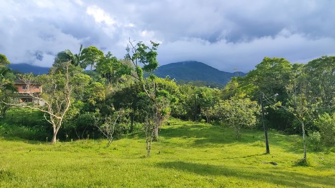 PASTAGEM E LINDA VISTA