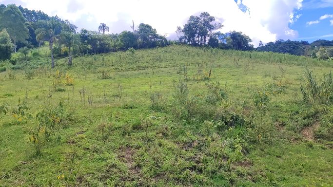 TERRENO PARA PLANTAR