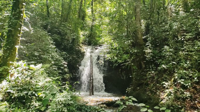 CASCATA E NATUREZA