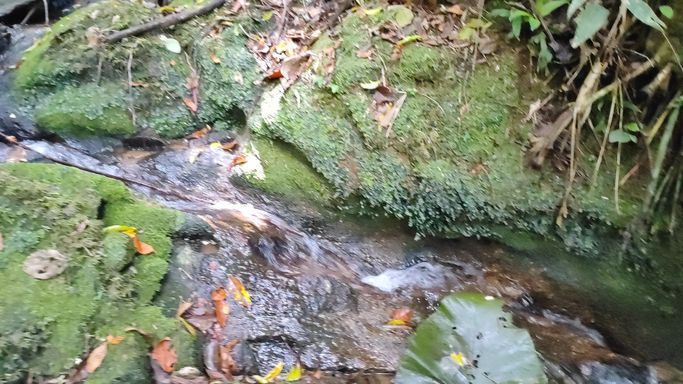 LINDAS QUEDAS DE ÁGUA