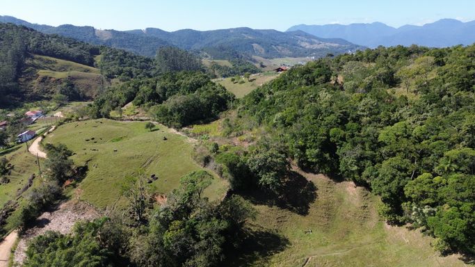 VISTA DE SINEMA