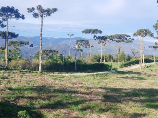 ARAUCARIAS E LINDA VISTA