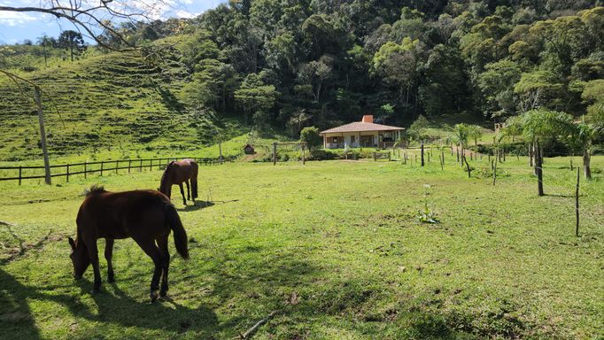 CAVALO E CASA