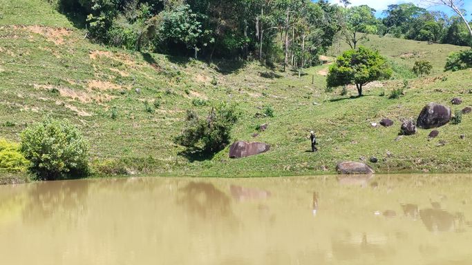 AÇUDE  E PASTO COM NATUREZA