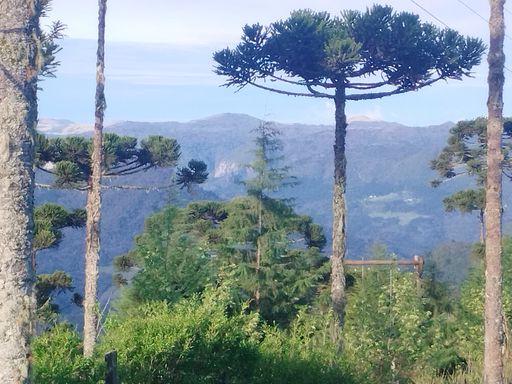 ARAUCARIAS E LINDA VISTA PARA AS COLINAS