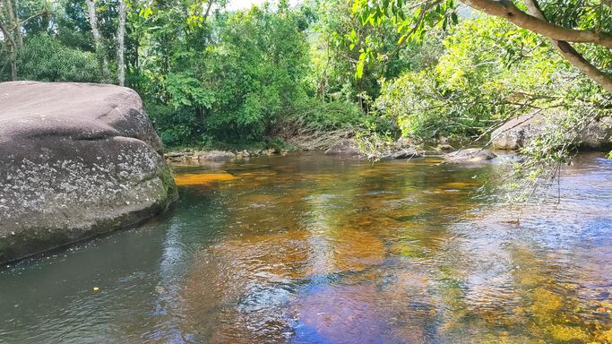 MARAVILHOS RIO E BOSQUE