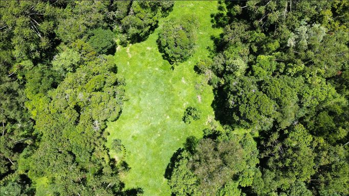 FOTO DE CIMA DO JARDIM E ARAUCARIAS