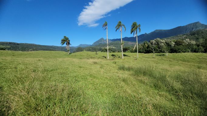 PASTAGEM E LINDA VISTA