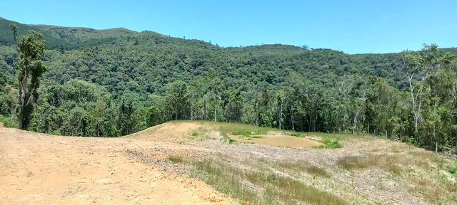 AREA LIMPA DE  PLANTIO