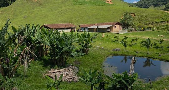 Vista das duas casas e barracao