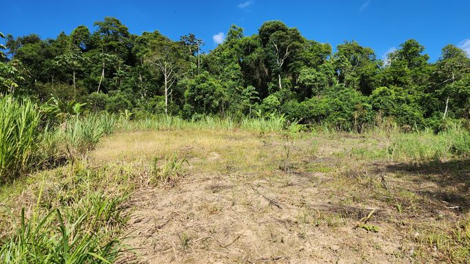 AREA PLANA E NATUREZA