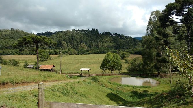 AÇUDE E PASTAGEM