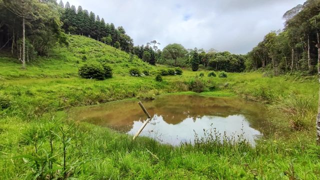 AÇUDE  PASTAGEM E NATUREZA